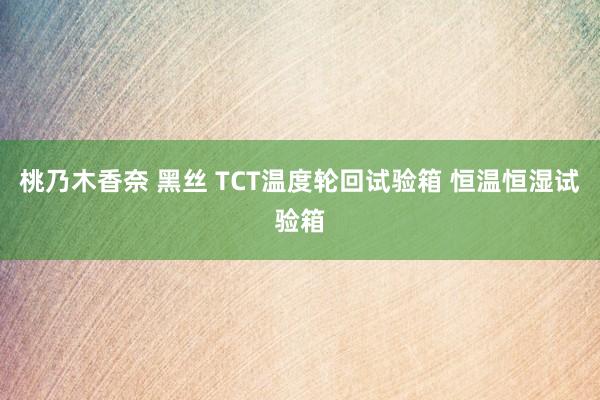 桃乃木香奈 黑丝 TCT温度轮回试验箱 恒温恒湿试验箱