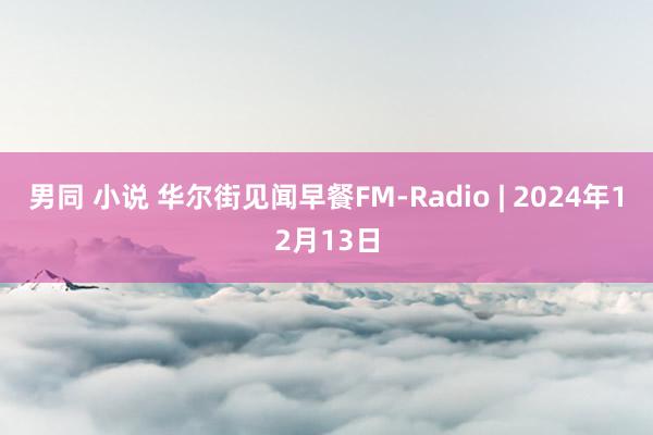 男同 小说 华尔街见闻早餐FM-Radio | 2024年12月13日