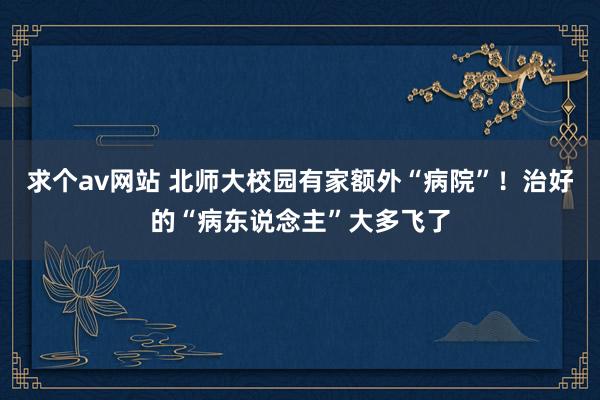 求个av网站 北师大校园有家额外“病院”！治好的“病东说念主”大多飞了