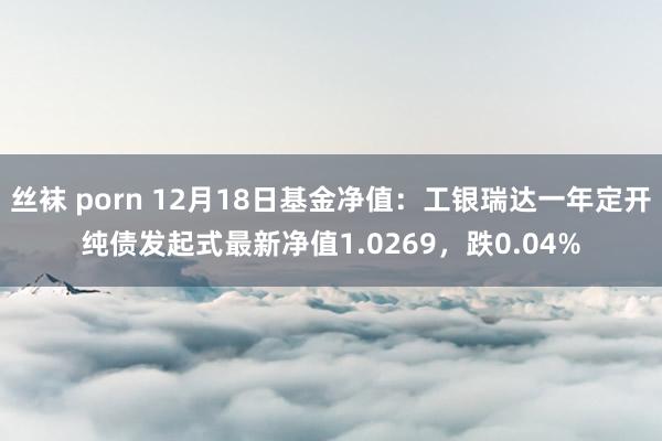 丝袜 porn 12月18日基金净值：工银瑞达一年定开纯债发起式最新净值1.0269，跌0.04%