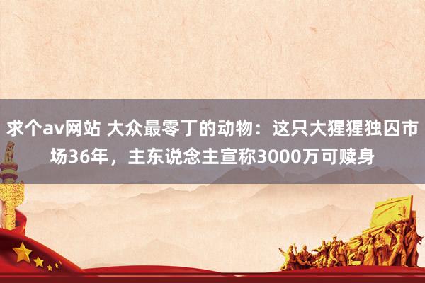 求个av网站 大众最零丁的动物：这只大猩猩独囚市场36年，主东说念主宣称3000万可赎身