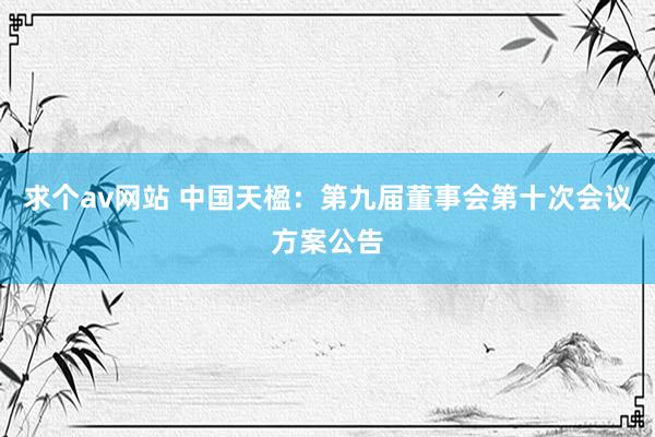 求个av网站 中国天楹：第九届董事会第十次会议方案公告
