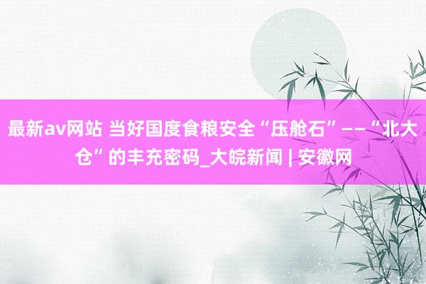 最新av网站 当好国度食粮安全“压舱石”——“北大仓”的丰充密码_大皖新闻 | 安徽网