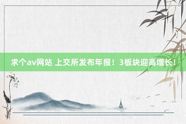 求个av网站 上交所发布年报！3板块迎高增长！