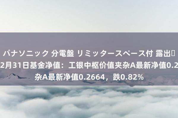 パナソニック 分電盤 リミッタースペース付 露出・半埋込両用形 12月31日基金净值：工银中枢价值夹杂A最新净值0.2664，跌0.82%