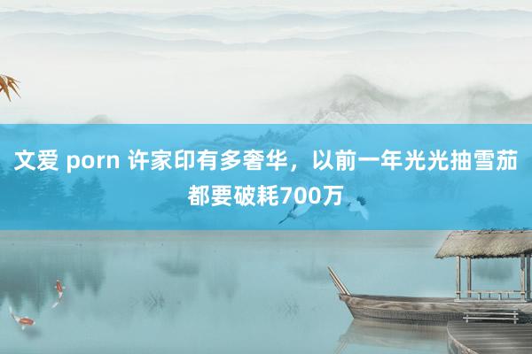 文爱 porn 许家印有多奢华，以前一年光光抽雪茄都要破耗700万