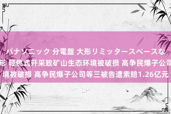 パナソニック 分電盤 大形リミッタースペースなし 露出・半埋込両用形 轻佻式开采致矿山生态环境被破损 高争民爆子公司等三被告遭索赔1.26亿元