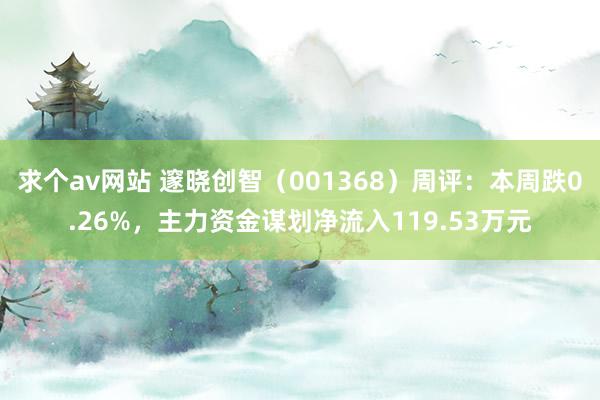 求个av网站 邃晓创智（001368）周评：本周跌0.26%，主力资金谋划净流入119.53万元