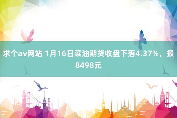求个av网站 1月16日菜油期货收盘下落4.37%，报8498元