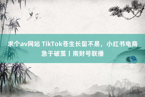 求个av网站 TikTok苍生长留不易，小红书电商急于破茧丨南财号联播