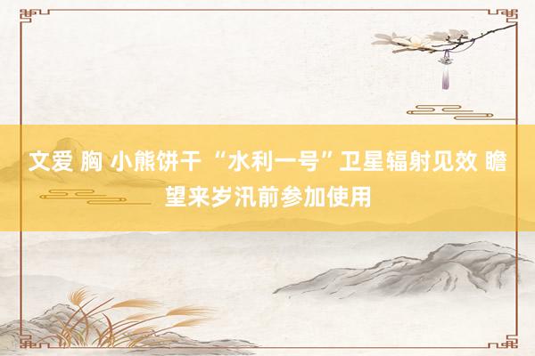 文爱 胸 小熊饼干 “水利一号”卫星辐射见效 瞻望来岁汛前参加使用