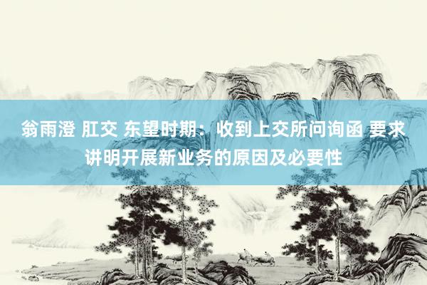 翁雨澄 肛交 东望时期：收到上交所问询函 要求讲明开展新业务的原因及必要性