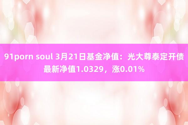 91porn soul 3月21日基金净值：光大尊泰定开债最新净值1.0329，涨0.01%