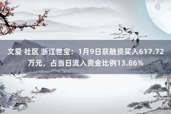 文爱 社区 浙江世宝：1月9日获融资买入617.72万元，占当日流入资金比例13.86%