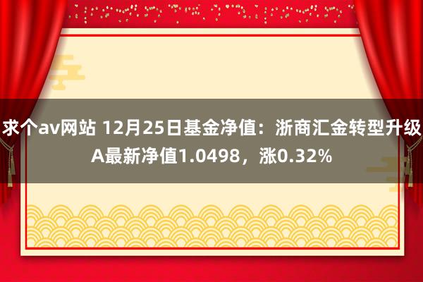 求个av网站 12月25日基金净值：浙商汇金转型升级A最新净值1.0498，涨0.32%