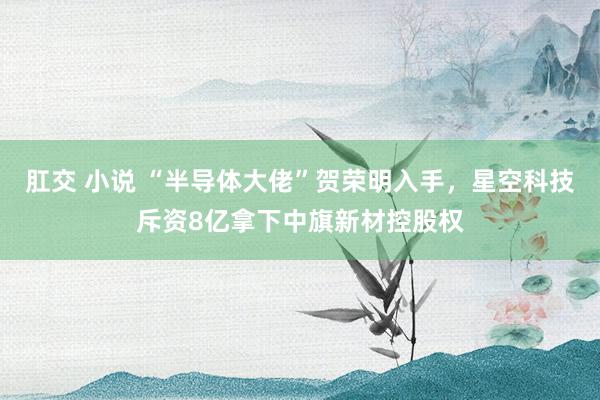 肛交 小说 “半导体大佬”贺荣明入手，星空科技斥资8亿拿下中旗新材控股权