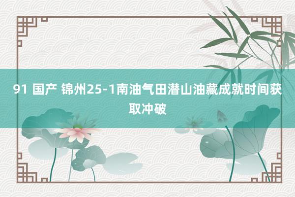 91 国产 锦州25-1南油气田潜山油藏成就时间获取冲破